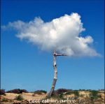 25 - Odile Lapujoulade - Hommage à Magritte